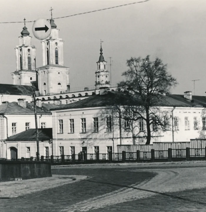 Higher medical education in Kaunas in 1919–1930
