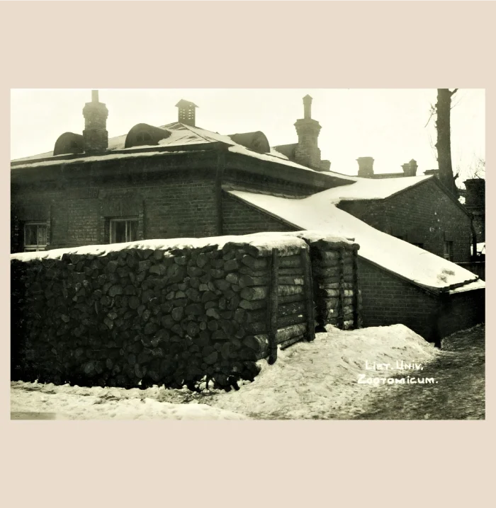 The History of the Veterinary Department, Faculty of Medicine, University of Lithuania in 1922–1929