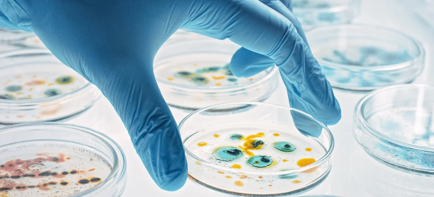 Biochemijos studijos - Biochemija - Bakalauro studijos