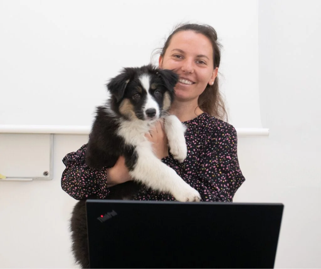 Pets at the University