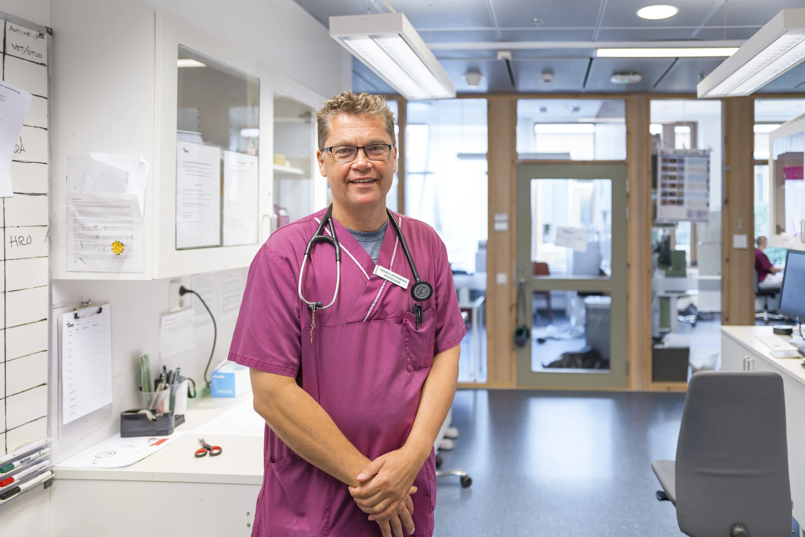 Švedijos profesoriaus Henrik Rönnberg paskaita „Canine and Feline Mast Cell Tumors: Diagnostic, Staging and Treatment”