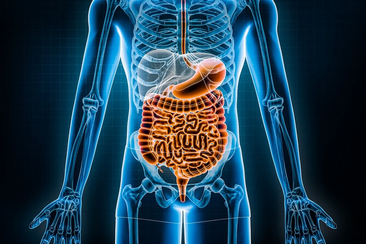 Ambitious Horizon Europe Project on Inflammatory Bowel Diseases Launched by LSMU’s Institute for Digestive Research and Department of Gastroenterology