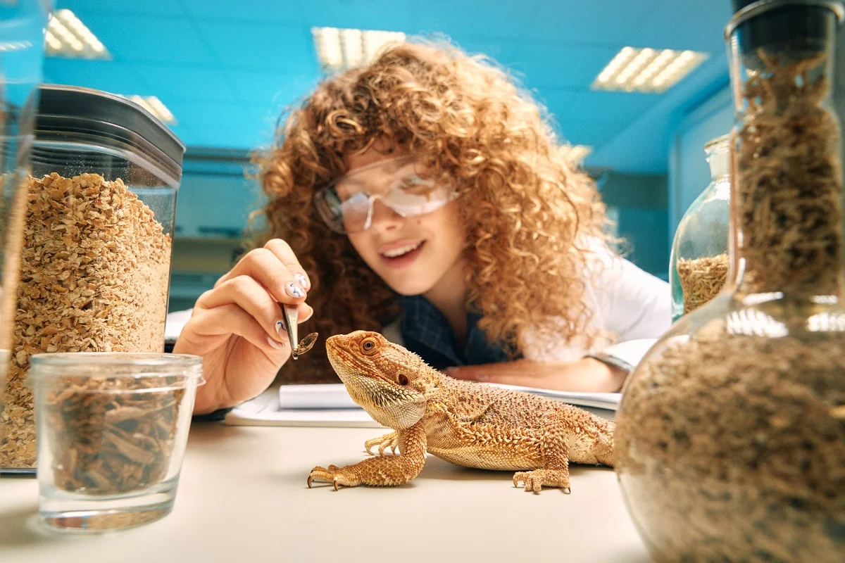 Integrated studies-Medicine degree in Lithuanian Univeristy of Helath Sciences
