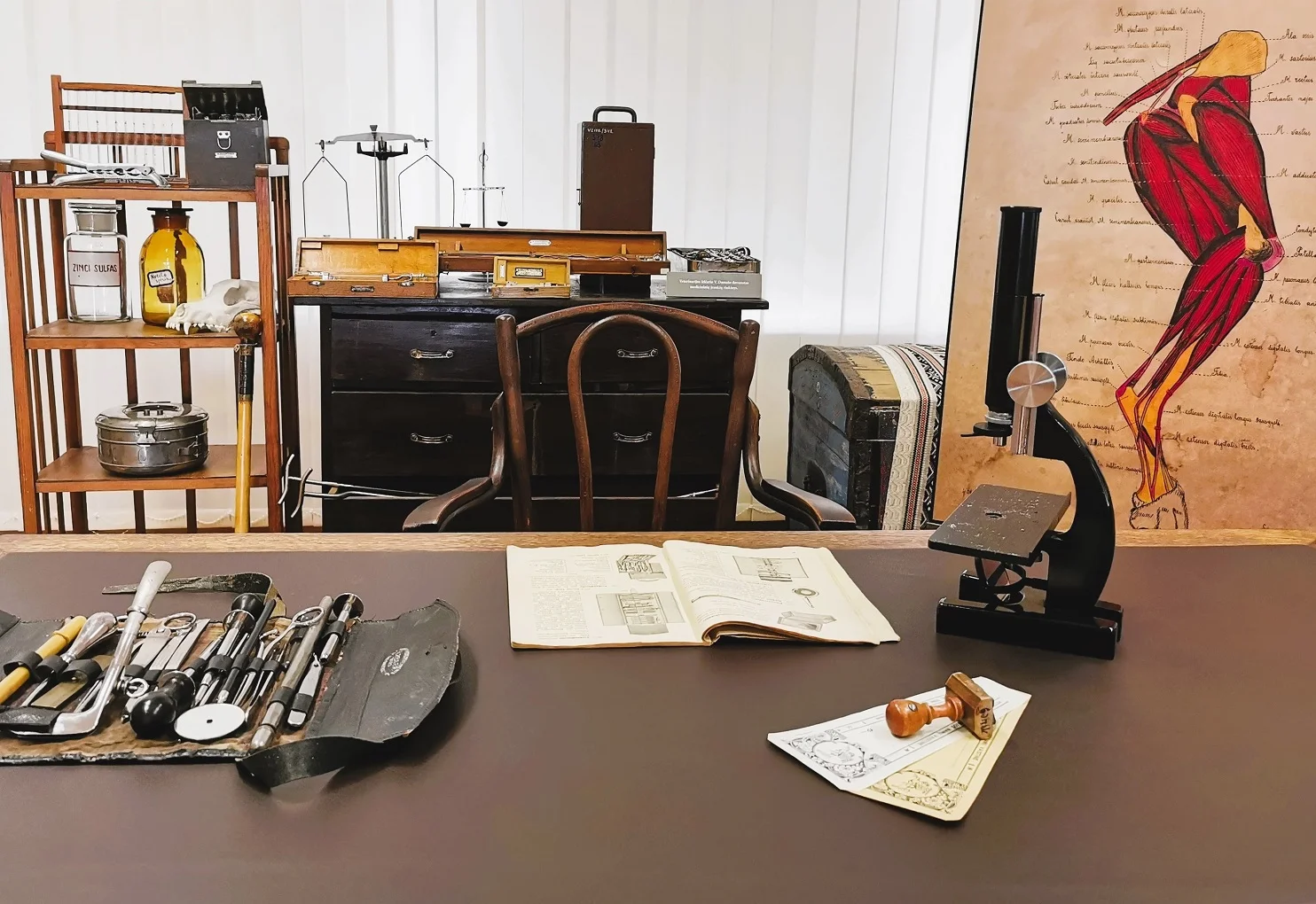 The Museum of Veterinary Academy in Lithuanian University of Health Science