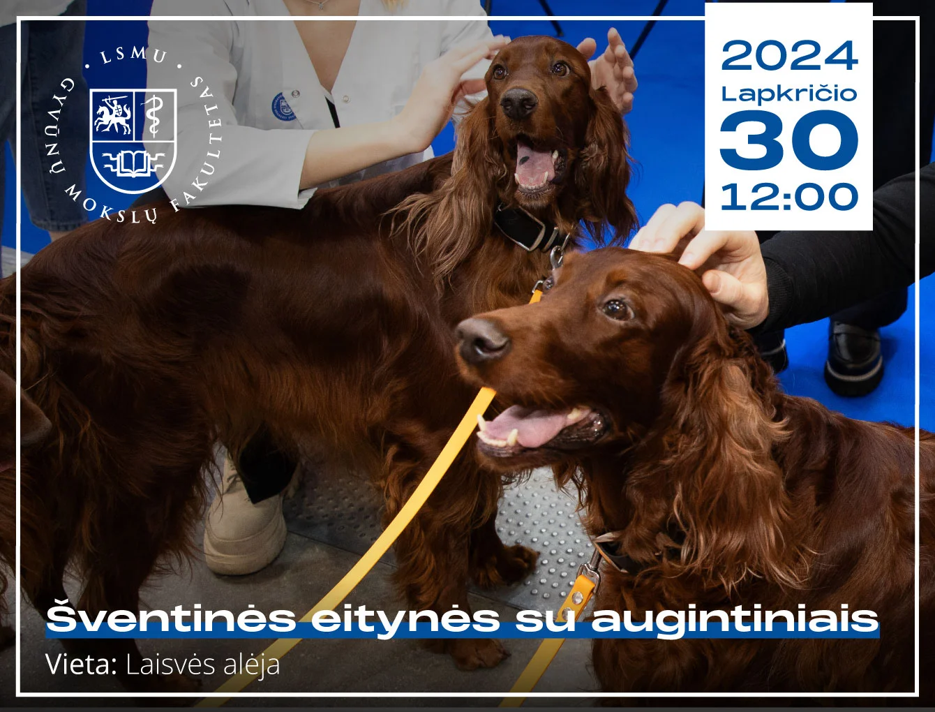 Šventinės eitynės su augintiniais
