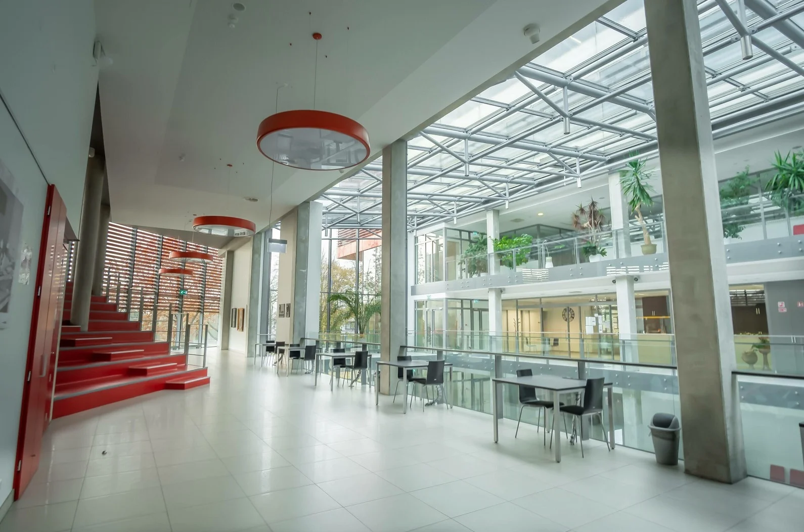 Lietuvos sveikatos mokslų universitetas-LSMU studijos