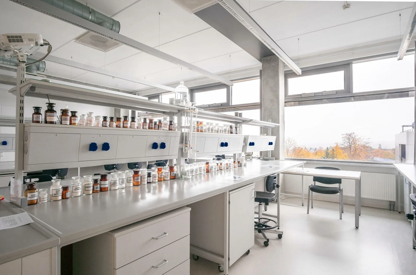 Lietuvos sveikatos mokslų universitetas-LSMU-studijos