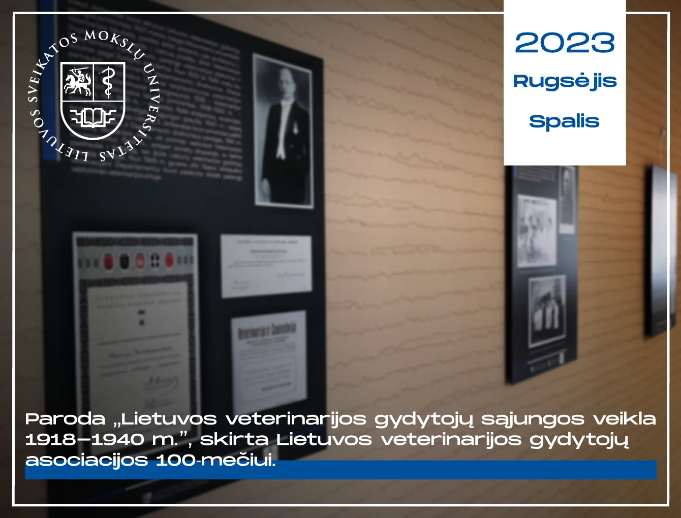 Lietuvos veterinarijos gydytojų sąjungos veikla 1918–1940 metais