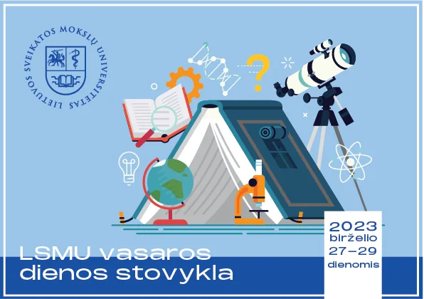 Vasaros dienos stovykla