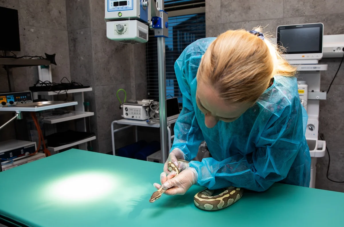 Wildlife Rescue Centre in Lithuania
