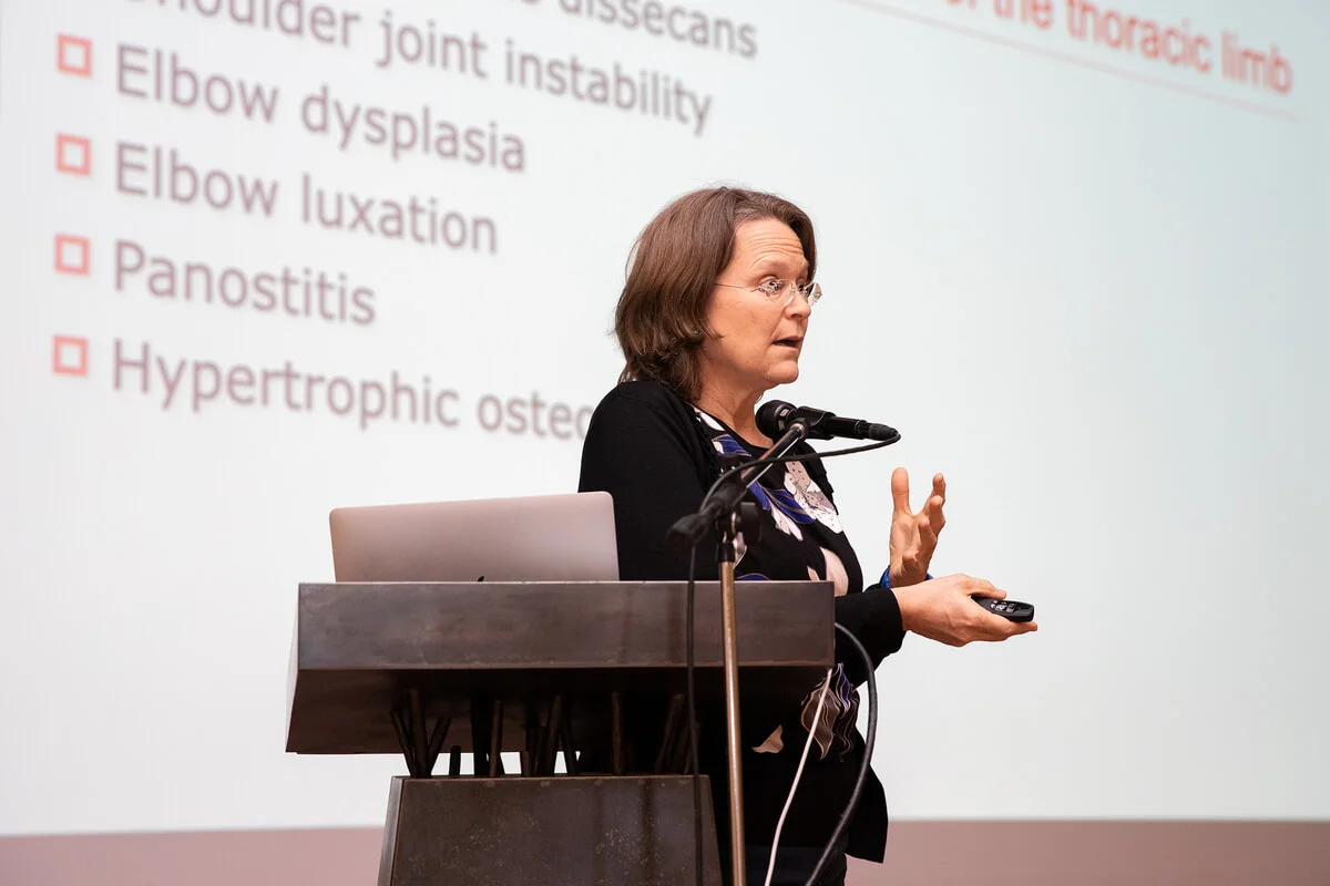 Valuable Insights from a World-Class Expert for Future Veterinarians