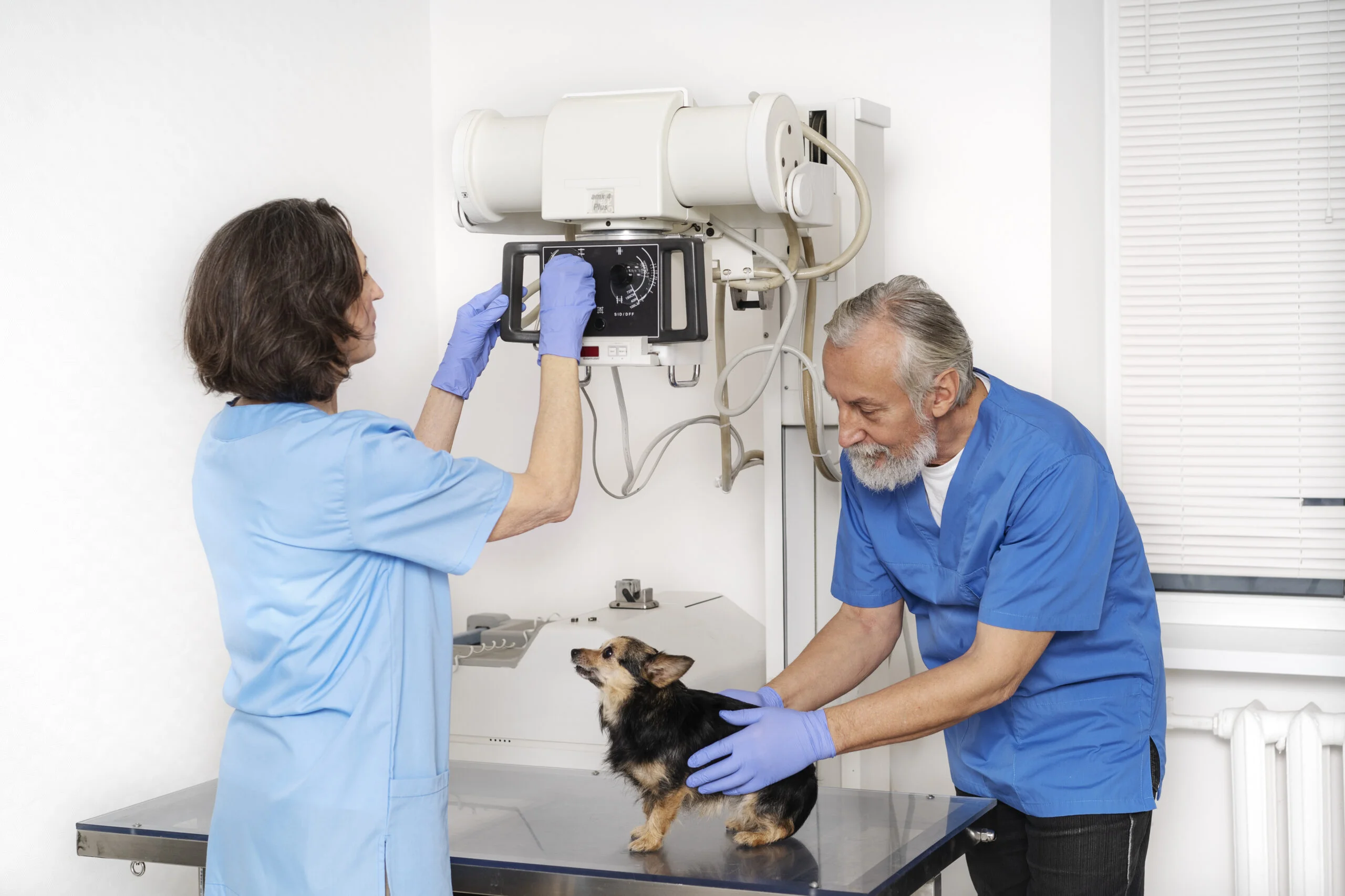 Kursai „Periodinio radiacinės saugos mokymo programa asmenims, atsakingiems už radiacinę saugą veterinarijoje“