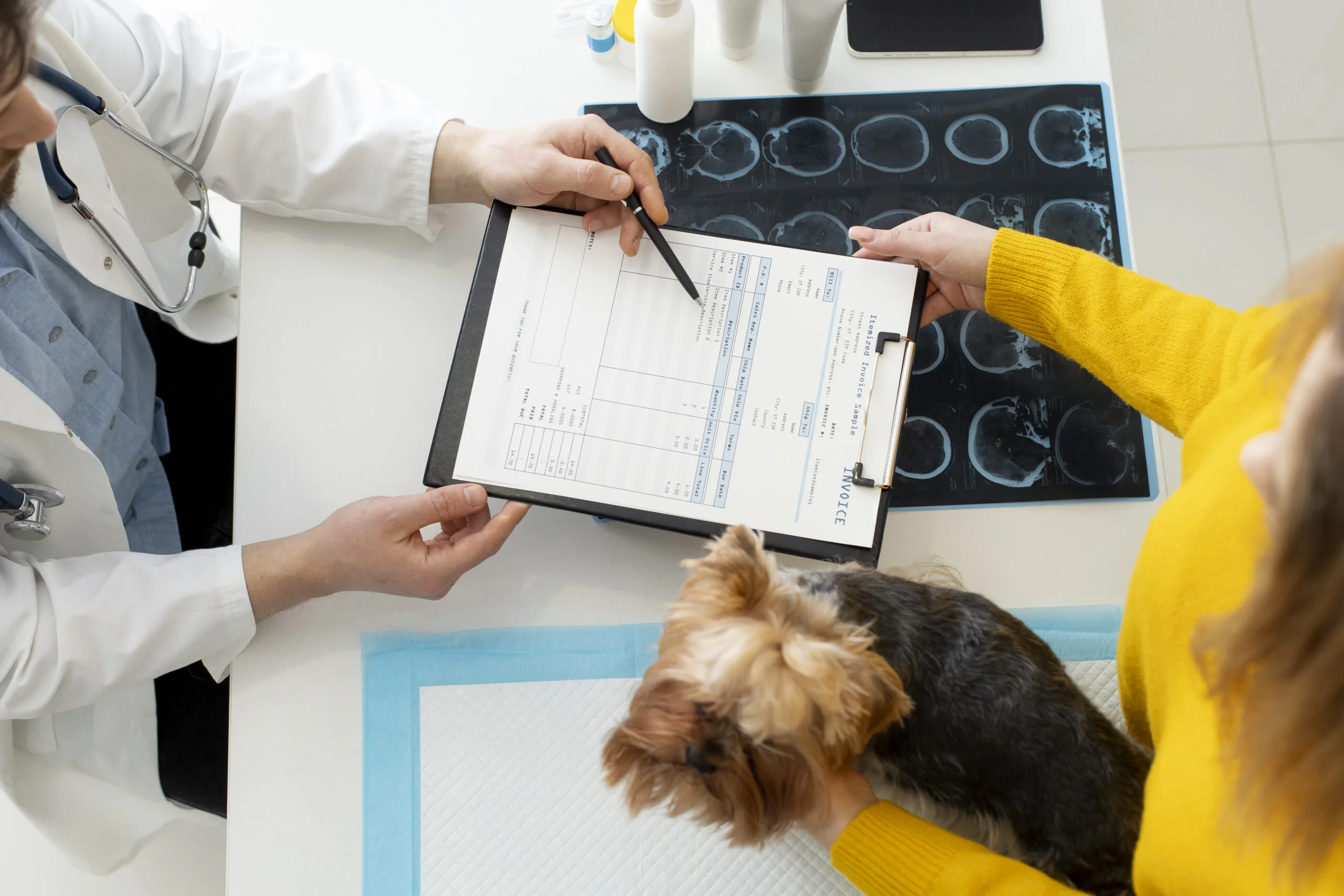 Kursai „Pradinio radiacinės saugos mokymo programa asmenims, atsakingiems už radiacinę saugą veterinarijoje“