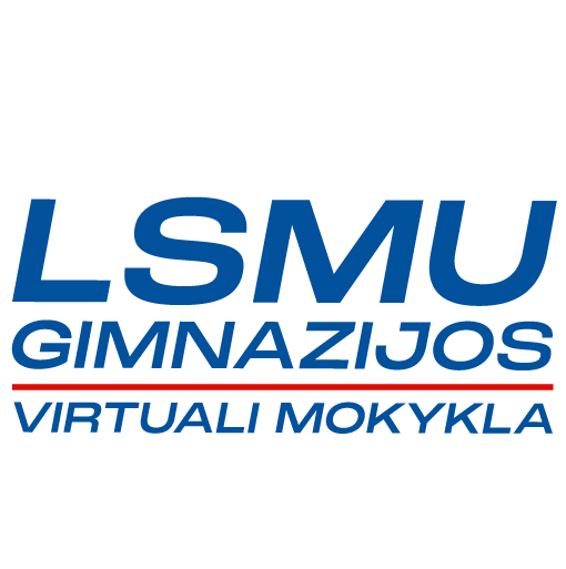 Plačiau apie virtualią mokyklą