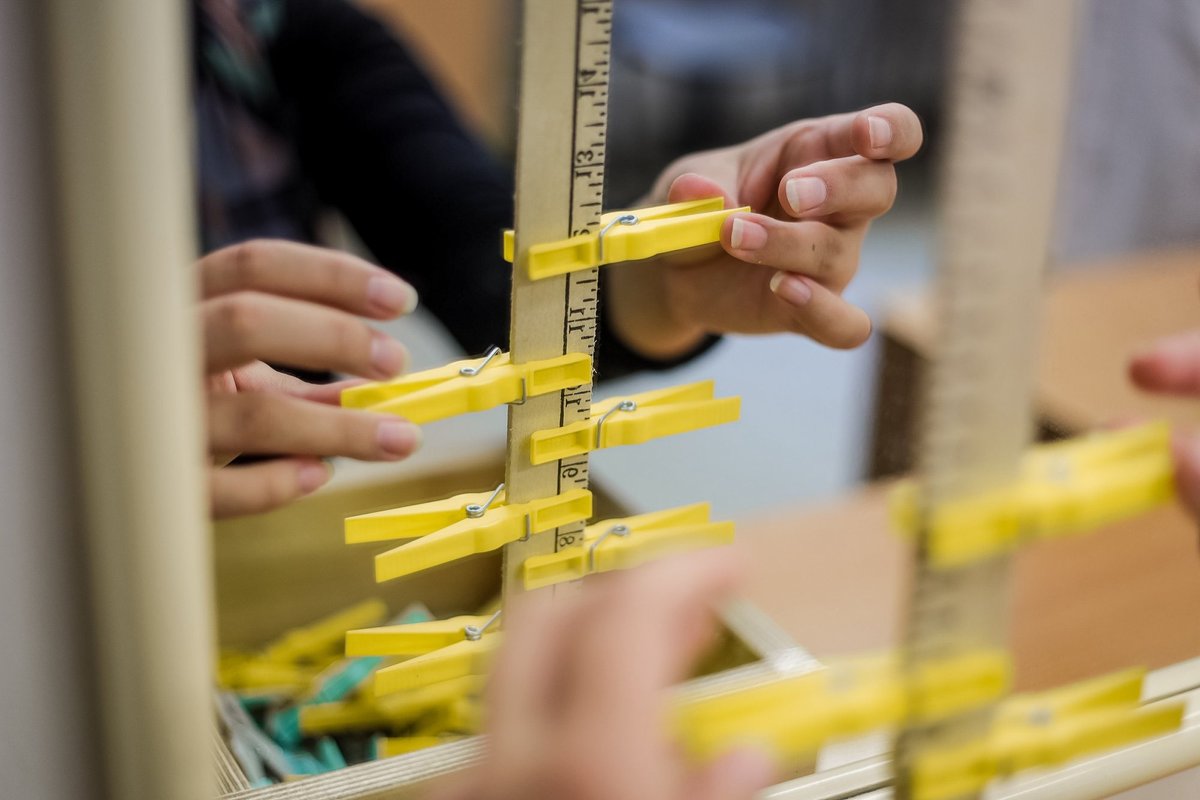 Occupational Therapist studies