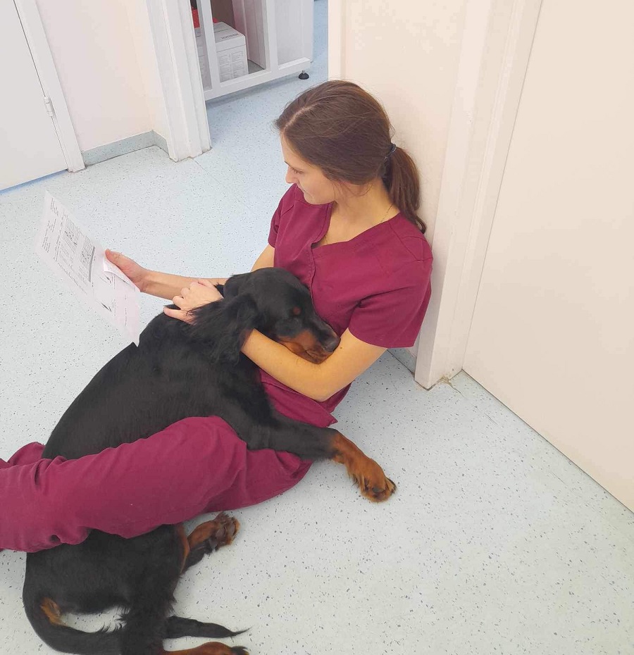 Veterinary doctor Karolina – about a profession that gives meaning to life - Veterinary Medicine studies 