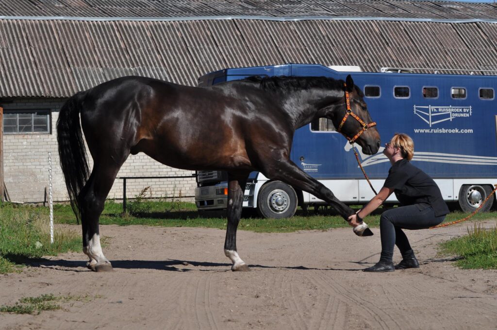 Veterinary medicine-Veterianry medicine studies