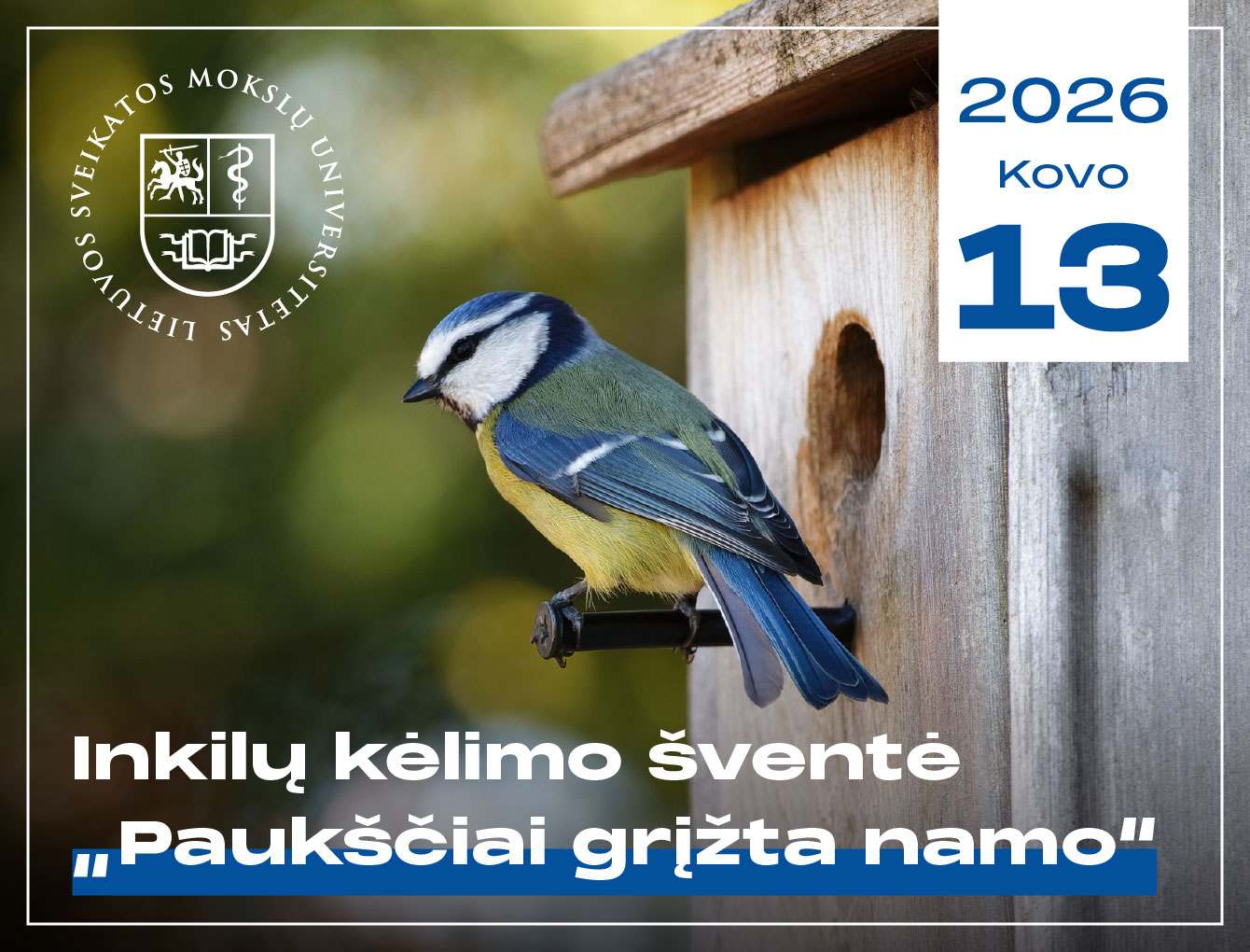 Inkilų kėlimo šventė „Paukščiai grįžta namo“